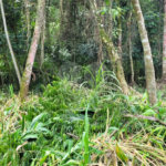 Terreno à venda no condomínio Cantareira, Mairiporã - SP