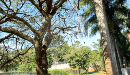 Casa à venda com 6 quartos, sendo 5 suítes,  em Santa Claudina, Vinhedo, SP