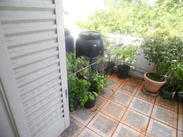 Sobrado à venda com 2 suítes em Tucuruvi, São Paulo, SP