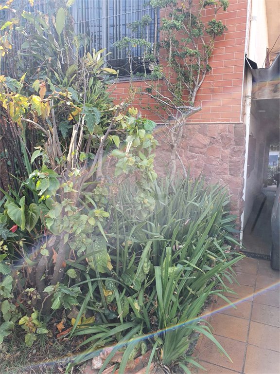 Terreno à venda em Vila Paulicéia, São Paulo, SP