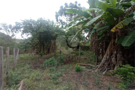Chácara à venda com 3 quartos em Vila Belo Horizonte, Itapetininga, SP