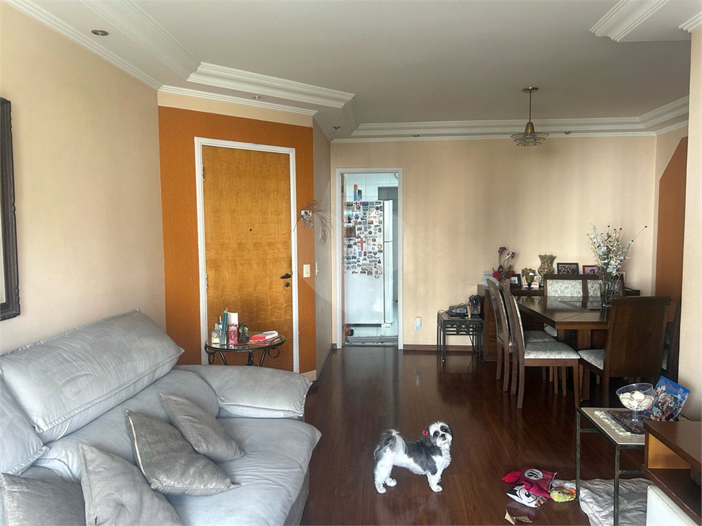 Apartamento à venda com 3 quartos, sendo 1 suíte,  em Vila Andrade, São Paulo, SP
