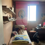 Apartamento à venda com 2 quartos, sendo 1 suíte, em Santana, São Paulo, SP