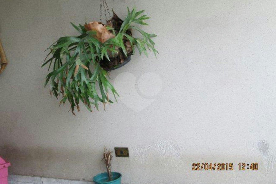 Sobrado à venda com 4 quartos, sendo 2 suítes, em Parque Edu Chaves, São Paulo, SP