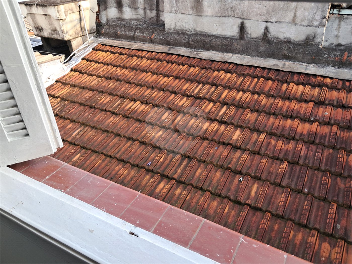 Sobrado para alugar com 3 quartos em Chácara Santo Antônio (zona Sul), São Paulo, SP