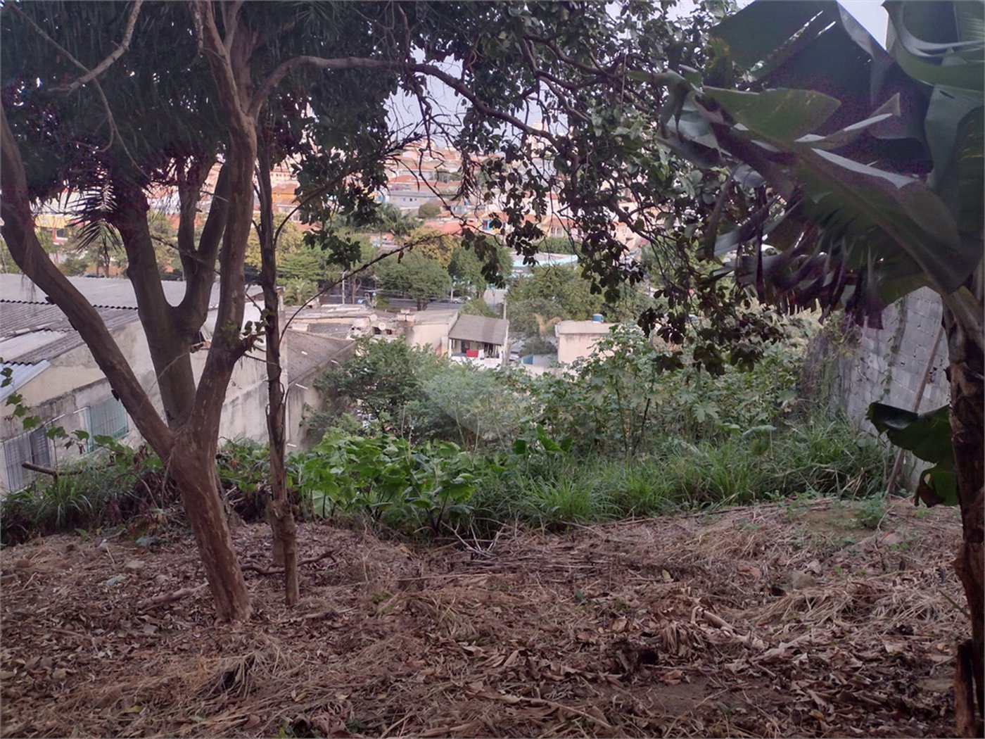 Terreno à venda em Vila Romero, São Paulo, SP