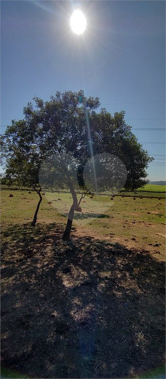 Sítio à venda com 2 suítes em Buru, Salto, SP