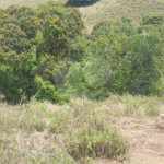 Sítio à venda no Centro, Monte Sião, MG