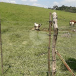 Área de Terra à venda em Área Rural de Monte Mor, Monte Mor, SP