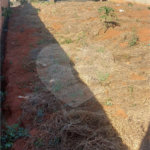 Terreno em Araraquara.