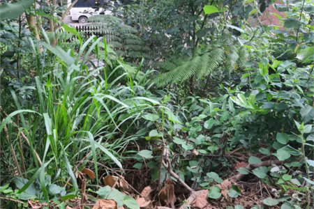 Loteamento à venda em Jardim Amália, São Paulo, SP