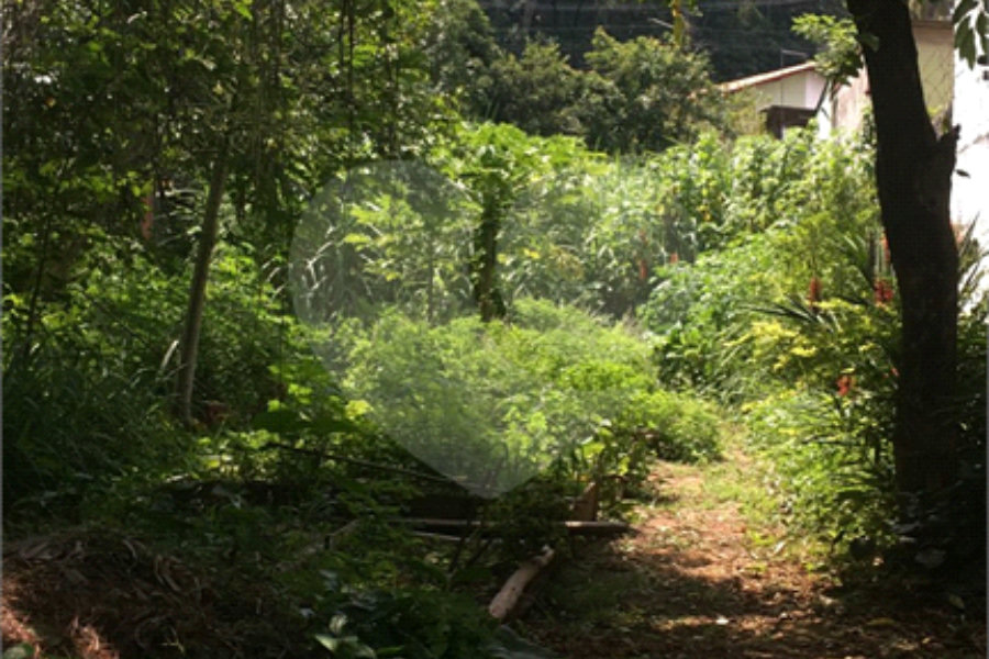 Terreno à venda ou para alugar em Horto, São Paulo, SP