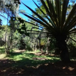 Casa à venda com 1 quarto em Vila Verde, Armação dos Búzios, RJ