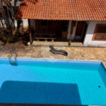 Sobrado à venda com 5 quartos, sendo 4 suítes, em Santa Rosa, Vinhedo, SP