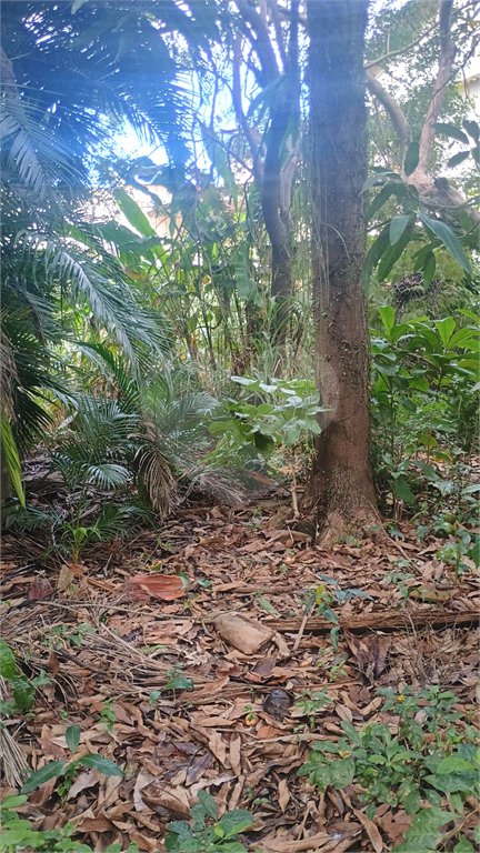 Terreno à venda em Pedra de Guaratiba, Rio de Janeiro, RJ