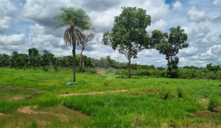 Terreno à venda no Centro, Santo Antônio do Leverger, MT