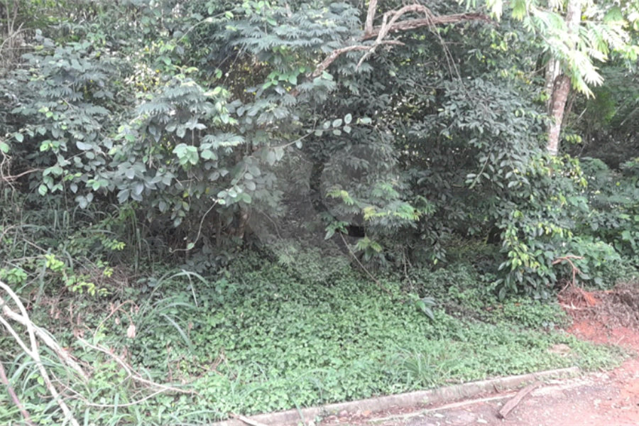 Terreno à venda em Roseira, Mairiporã, SP