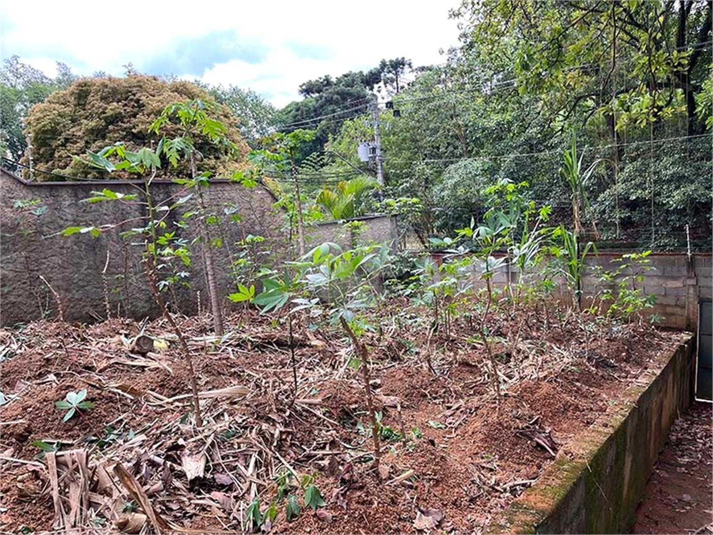 Terreno à venda em Santana, São Paulo, SP
