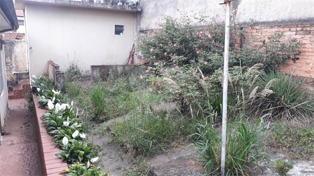Terreno à venda em Pirituba, São Paulo, SP