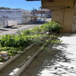 Sobrado à venda com 4 quartos, sendo 1 suíte, em São Miguel Paulista, São Paulo, SP