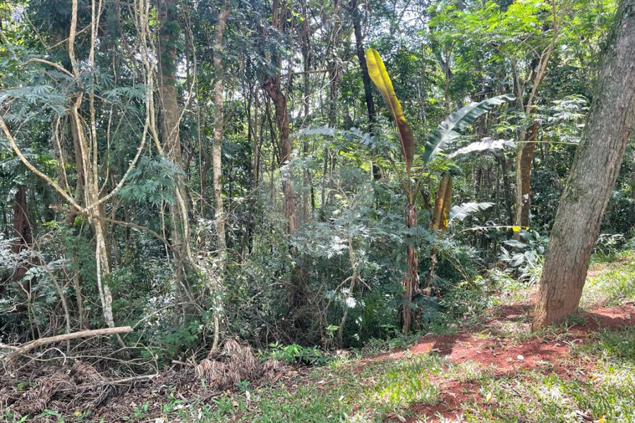 Terreno à venda no condomínio Cantareira, Mairiporã - SP