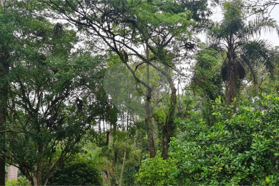 Casa à venda com 4 suítes no condomínio Jardim da Montanha I, Mairiporã - SP