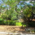 Terreno à venda com 3 quartos, sendo 1 suíte, em Vila Mazzei, São Paulo, SP
