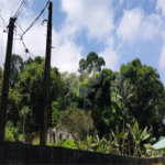 Terreno à venda em Tremembé, São Paulo, SP
