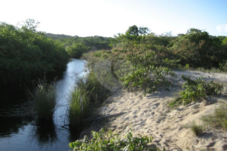 Área de Terra à venda em Mogiquiçaba, Belmonte, BA