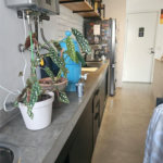 Apartamento à venda com 2 quartos, sendo 1 suíte, em Pinheiros, São Paulo, SP