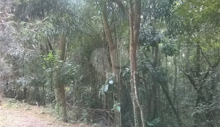 Terreno à venda em Serra da Cantareira, Mairiporã, SP