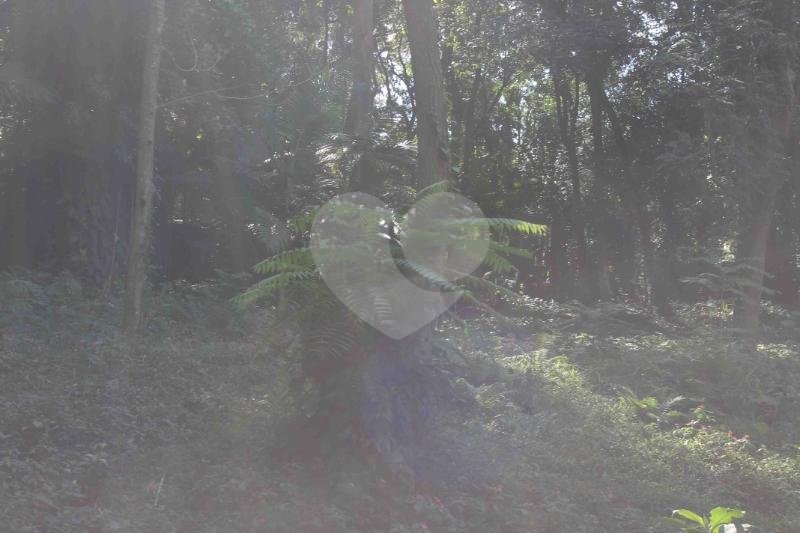 Terreno à venda no condomínio Chácara Flora, São Paulo - SP
