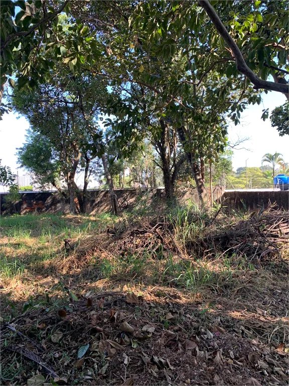 Terreno à venda em Vila Tramontano, São Paulo, SP