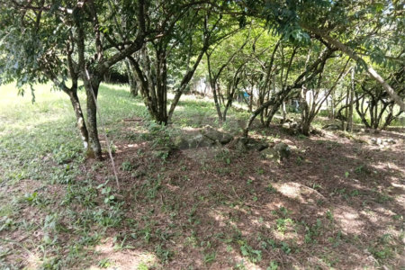 Terreno à venda em Planalto Verde, São Roque, SP