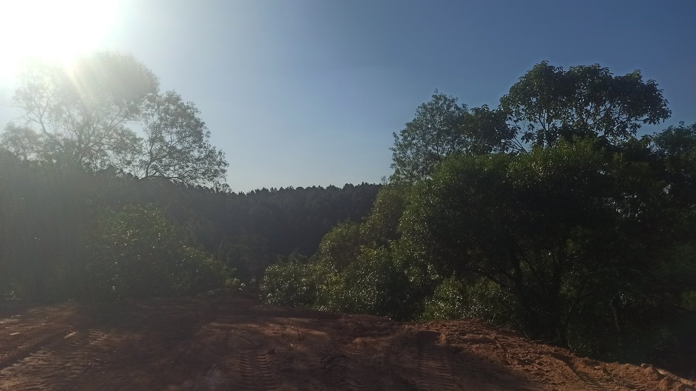 Fazenda Elisa - Fase 3