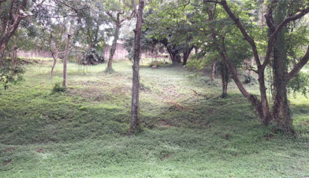 Terreno à venda em Marambaia, Vinhedo, SP