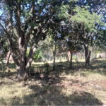 Terreno à venda em Chácaras do Guacuri, Itupeva, SP