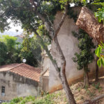 Terreno à venda em Tucuruvi, São Paulo, SP