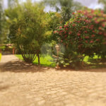 Casa à venda com 3 quartos, sendo 1 suíte, no condomínio Acmti - Colinas do Mosteiro, Terras de Itaici e Recanto dos Pássaros, Indaiatuba - SP