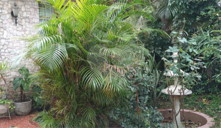 Casa à venda com 4 quartos em Jardim da Glória, São Paulo, SP