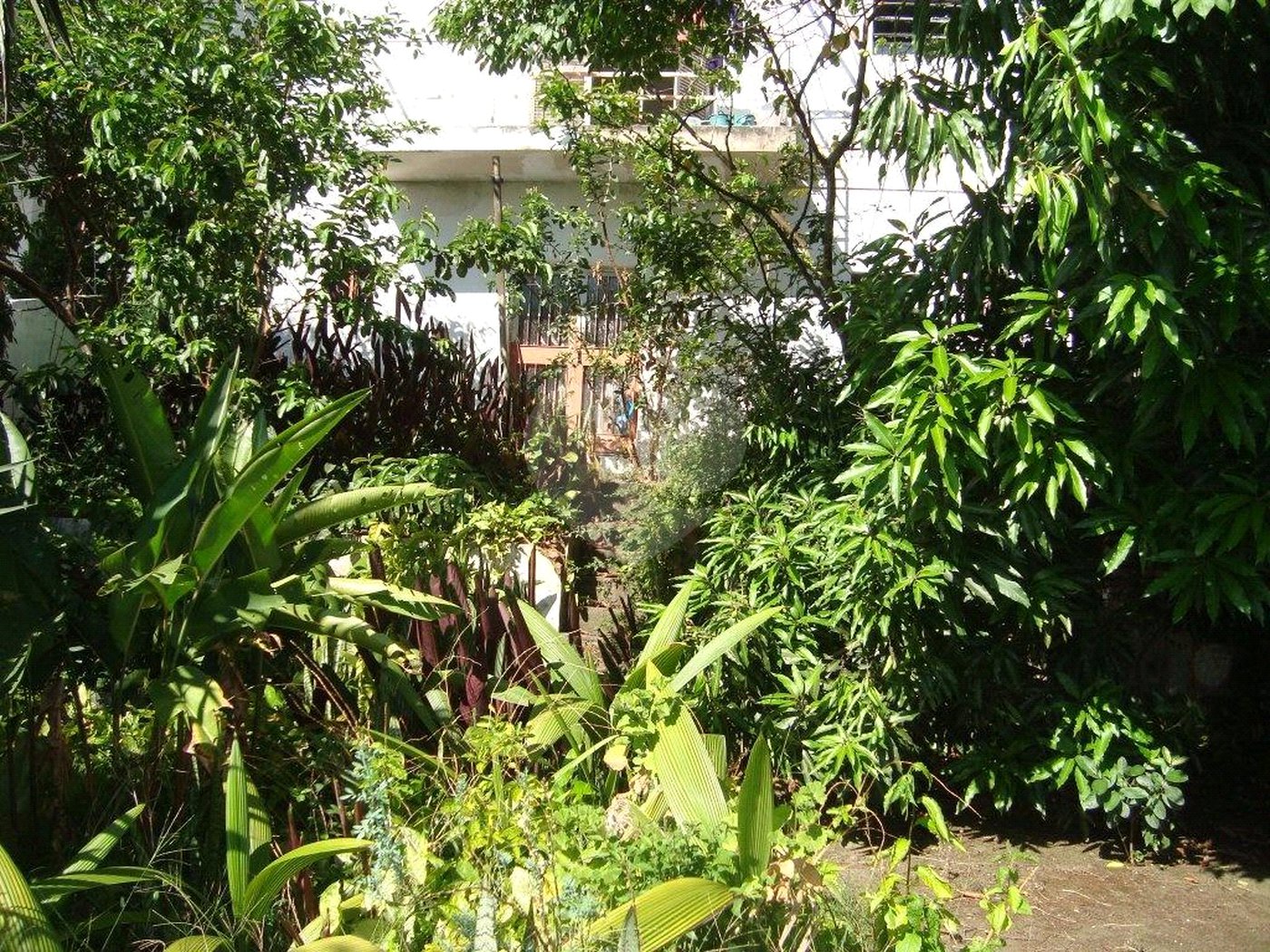 Casa à venda com 3 suítes em Jardim Leonor, São Paulo, SP