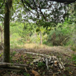Ribeirão Grande - Bairro ferreira dos Matos - Sítio de 30.000 metros - R$ 600.000,00