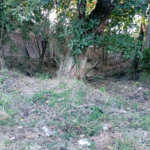 Terreno à venda em João Xxiii, Vinhedo, SP