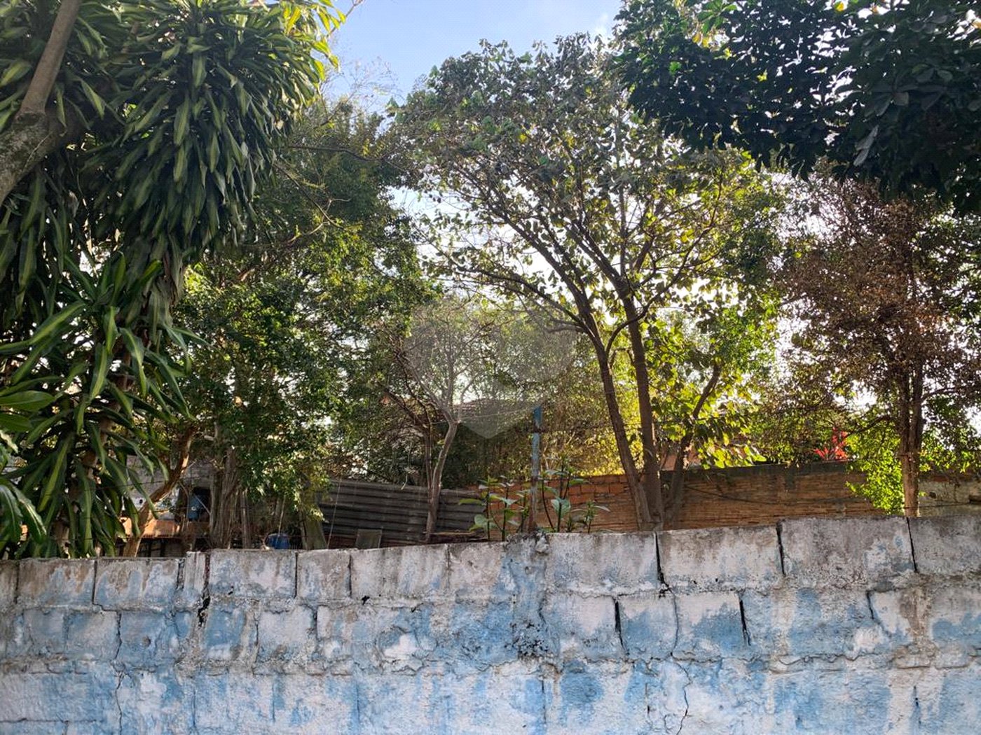 Terreno à venda com 2 quartos em Tucuruvi, São Paulo, SP
