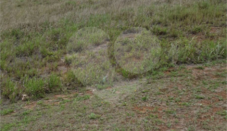 Terreno à venda com 1 suíte no condomínio Altavis Aldeia, Santana de Parnaíba - SP