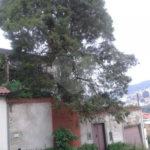 Casa à venda com 4 quartos em Tremembé, São Paulo, SP