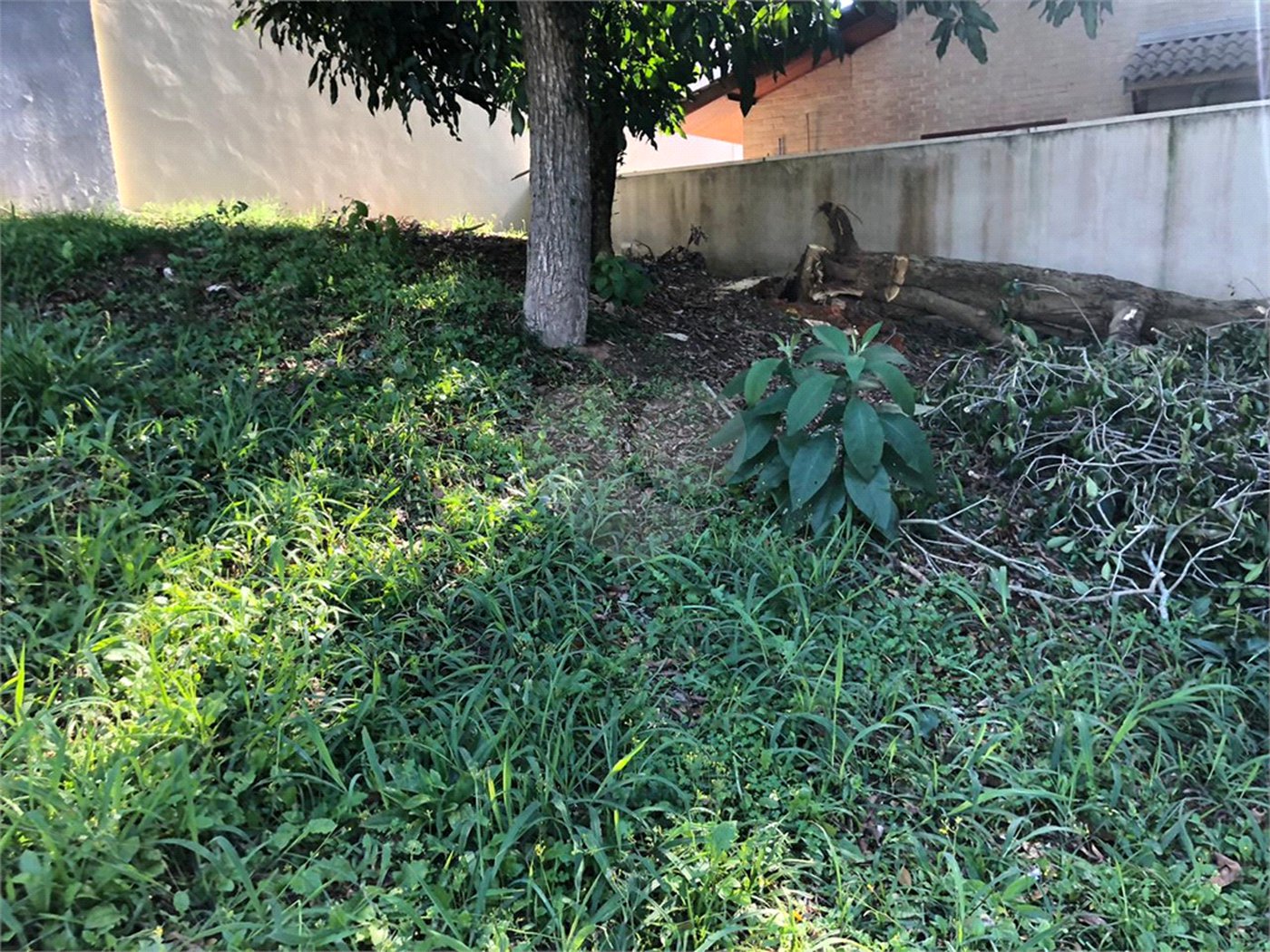 Terreno à venda em Horto, São Paulo, SP