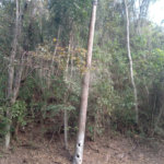 Terreno à venda no condomínio Sausalito, Mairiporã - SP