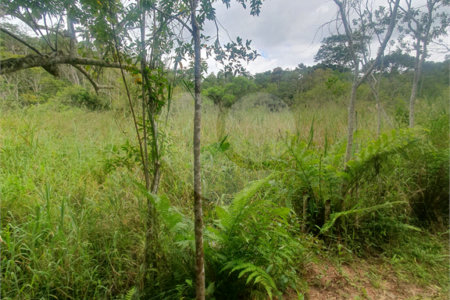 Terreno à venda em Vila Moraes, Mogi das Cruzes, SP