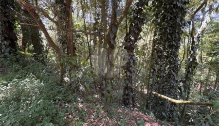 Terreno à venda em Serra da Cantareira, Mairiporã, SP
